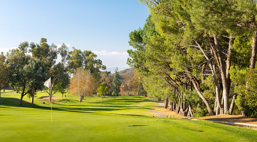 golf course lined by trees