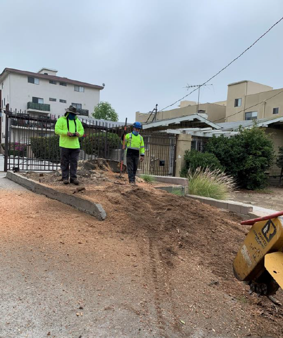 BrightView tree stump removal