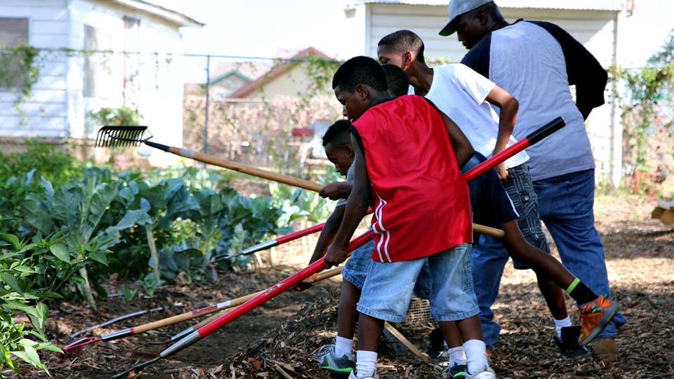 Bonton Texas community garden