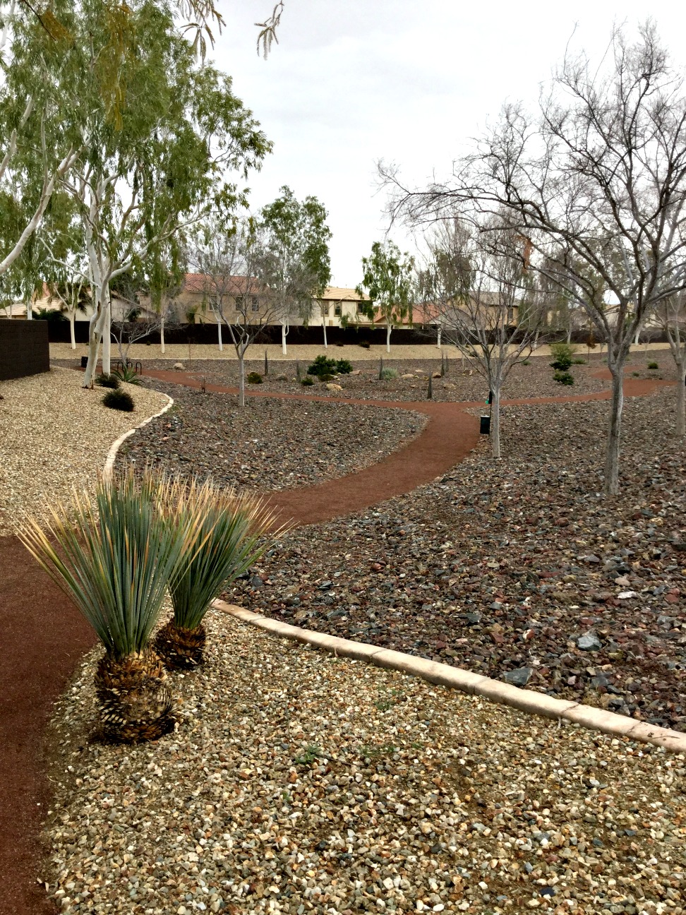Canyon Trails Arizona xeriscape water savings
