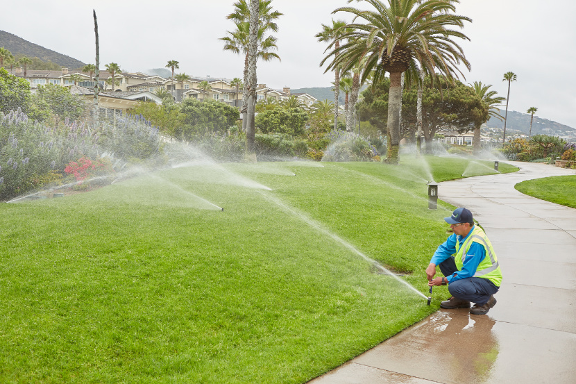Commercial Landscape Irrigation Damage