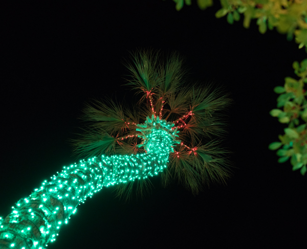 Use lights to illuminate all parts of your landscape