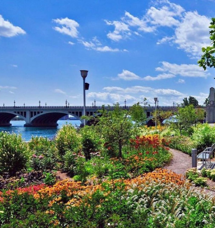 Detroit International Riverwalk landscape