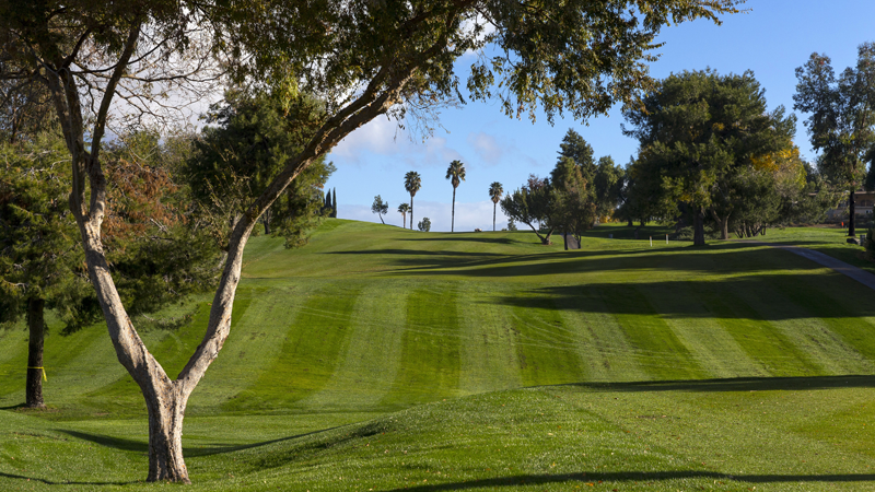 7)	In addition to agronomic excellence, we also help clubs achieve their operational best.