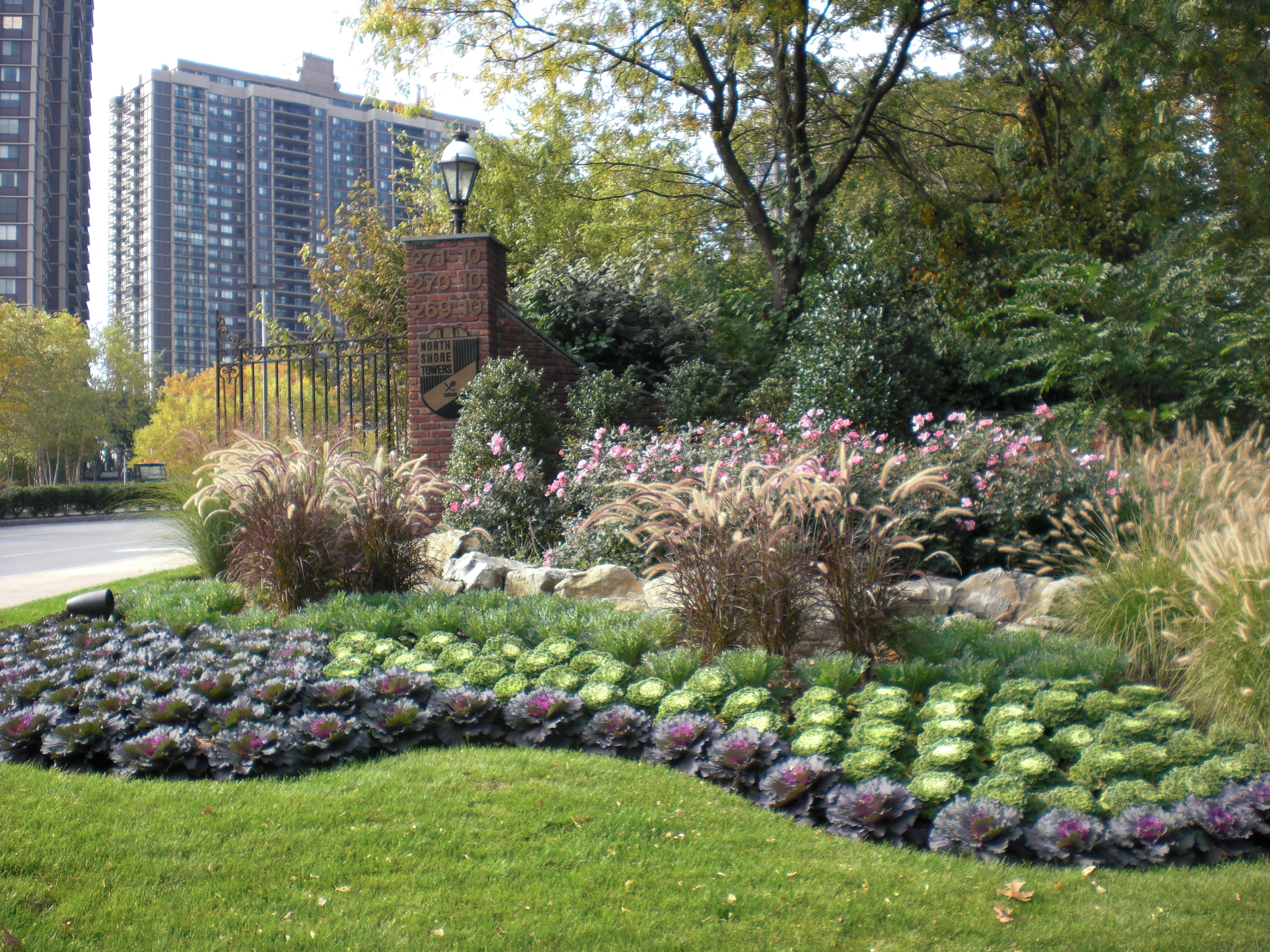 Fall Cabbage Display