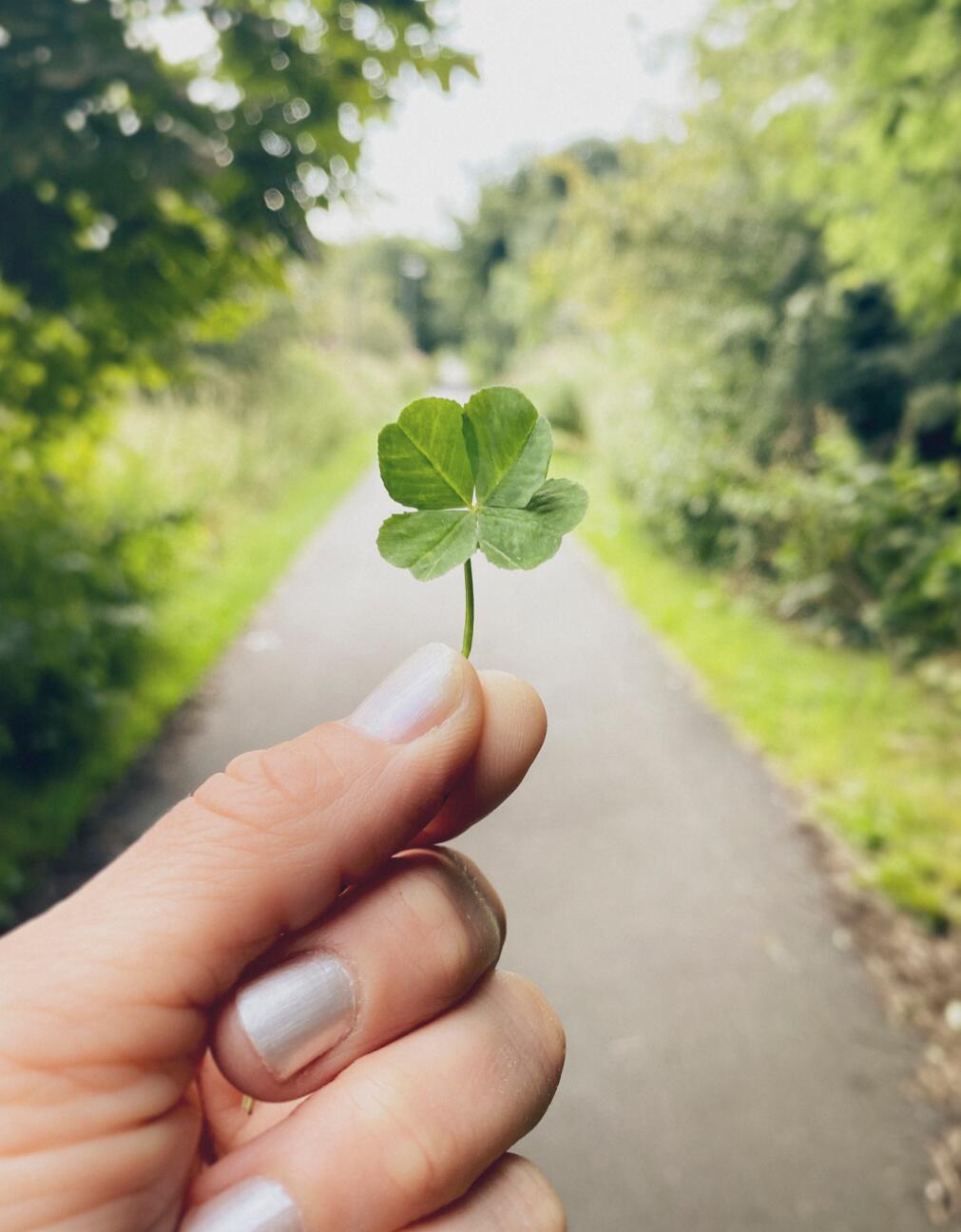 Four-Leaf Clover