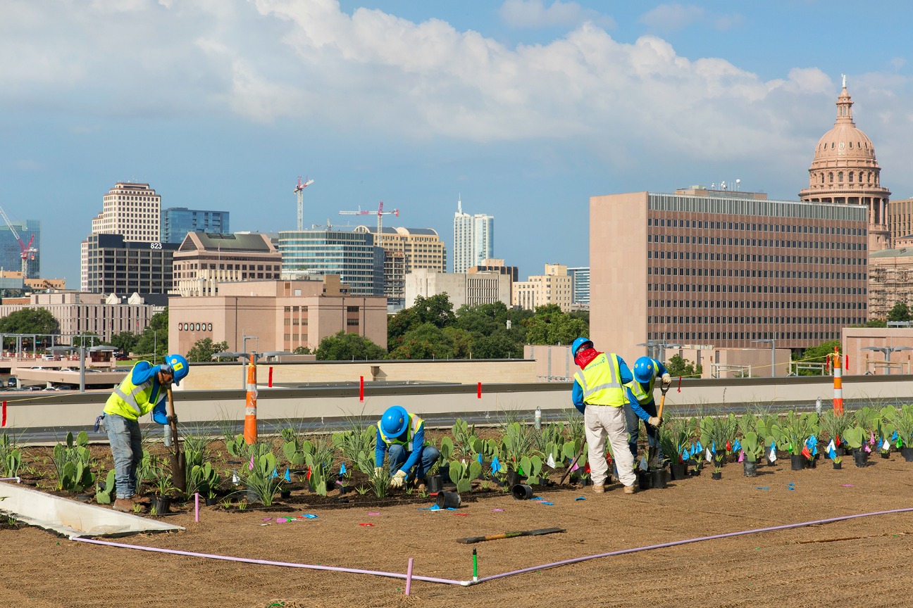 Green roof Texas university BrightView