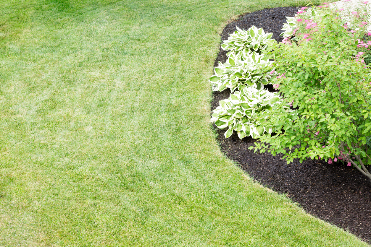 Mulch in Winter 