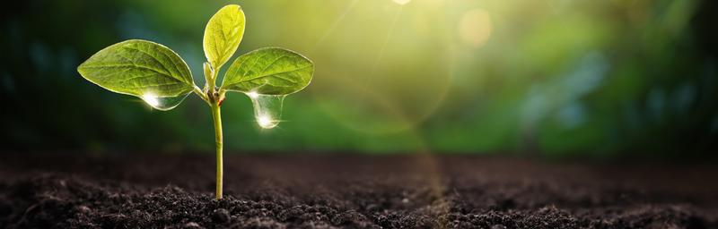 Environmental Sustainability