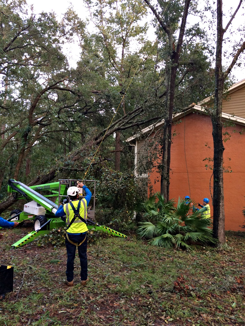 Hurricane Matthew