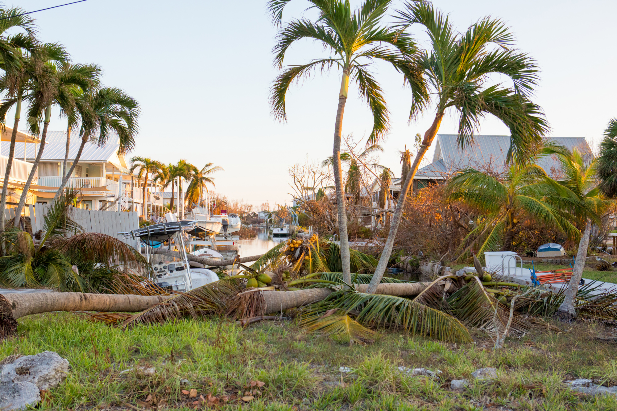 4 Immediate Actions to Take to Prepare for a Hurricane