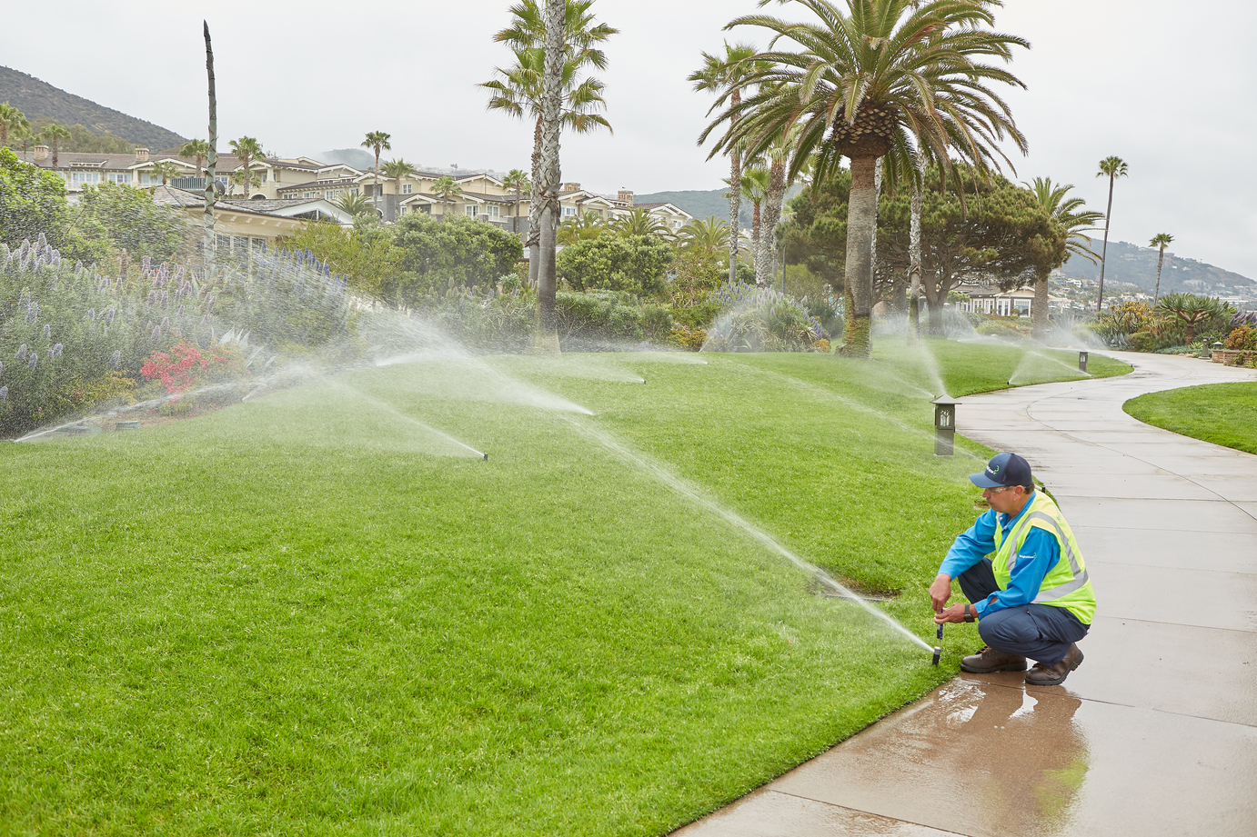 Water Efficient Landscaping