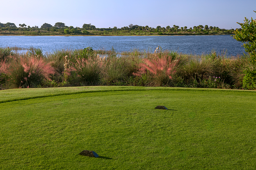 close up of a tee box on a golf course