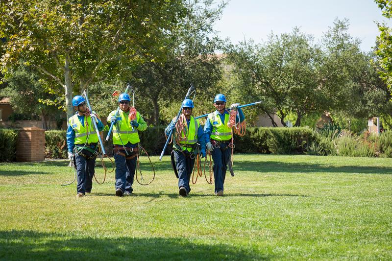 BrightView Tree Care Team