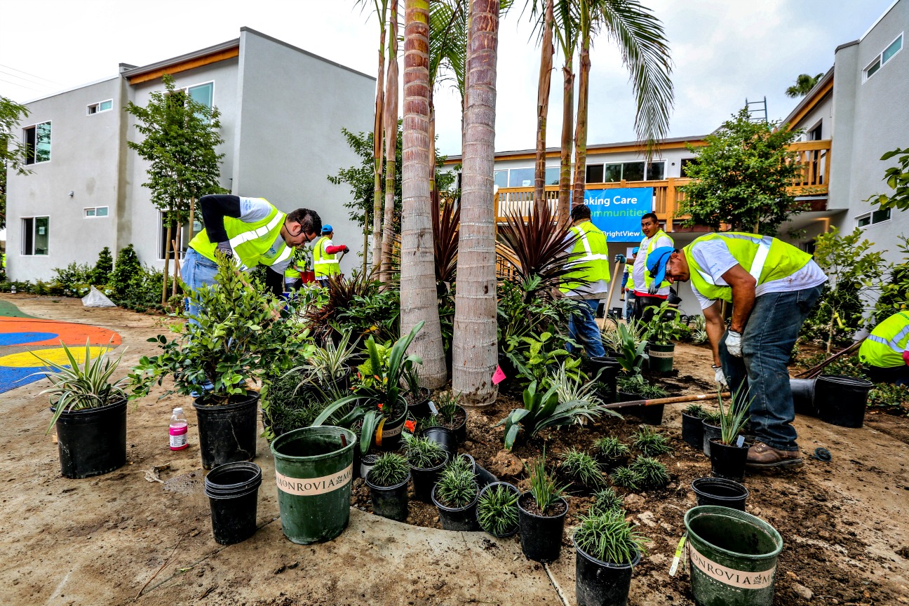 Miracle Manor BrightView community project