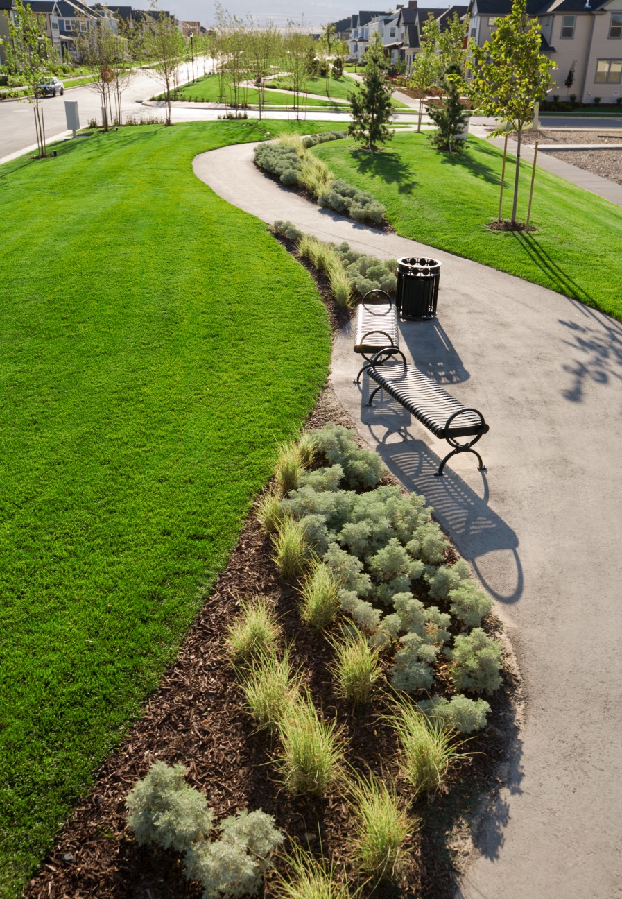 mulch landscape