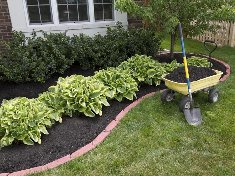 Add Mulch