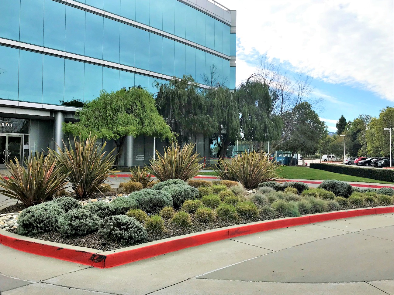 Oracle Campus