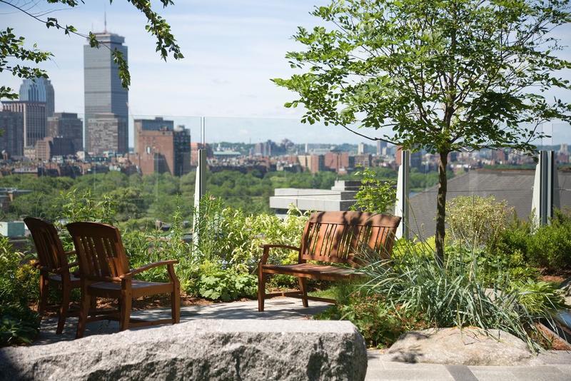 Hardscapes and plant material for outdoor workspaces