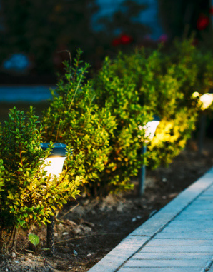 Outdoor lighting on pathway