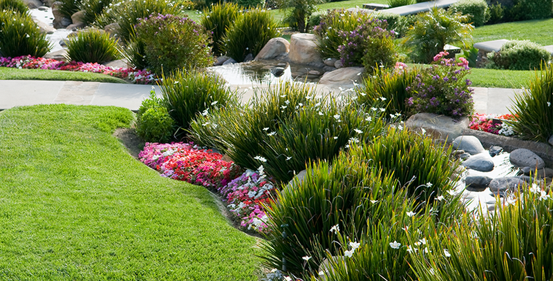 Landscape Standards of Excellence 