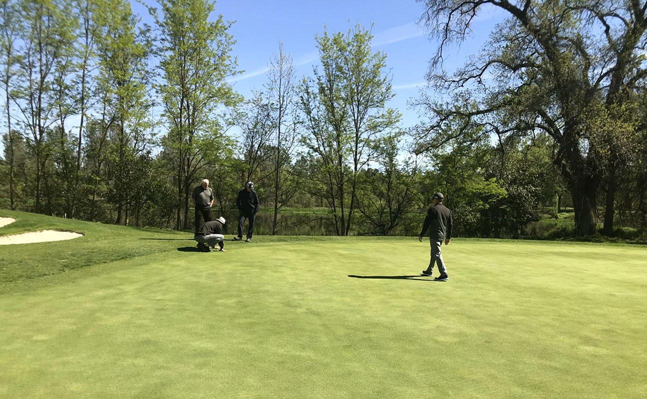 The fourteenth green at Riverview Golf & Country Club