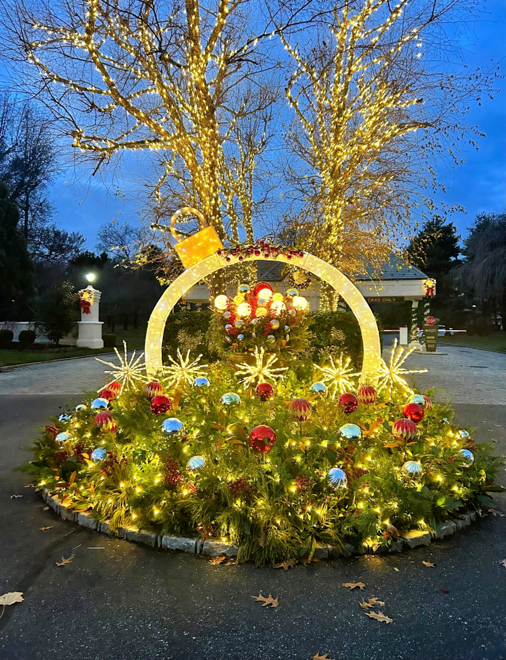 Seasonal Landscape Displays