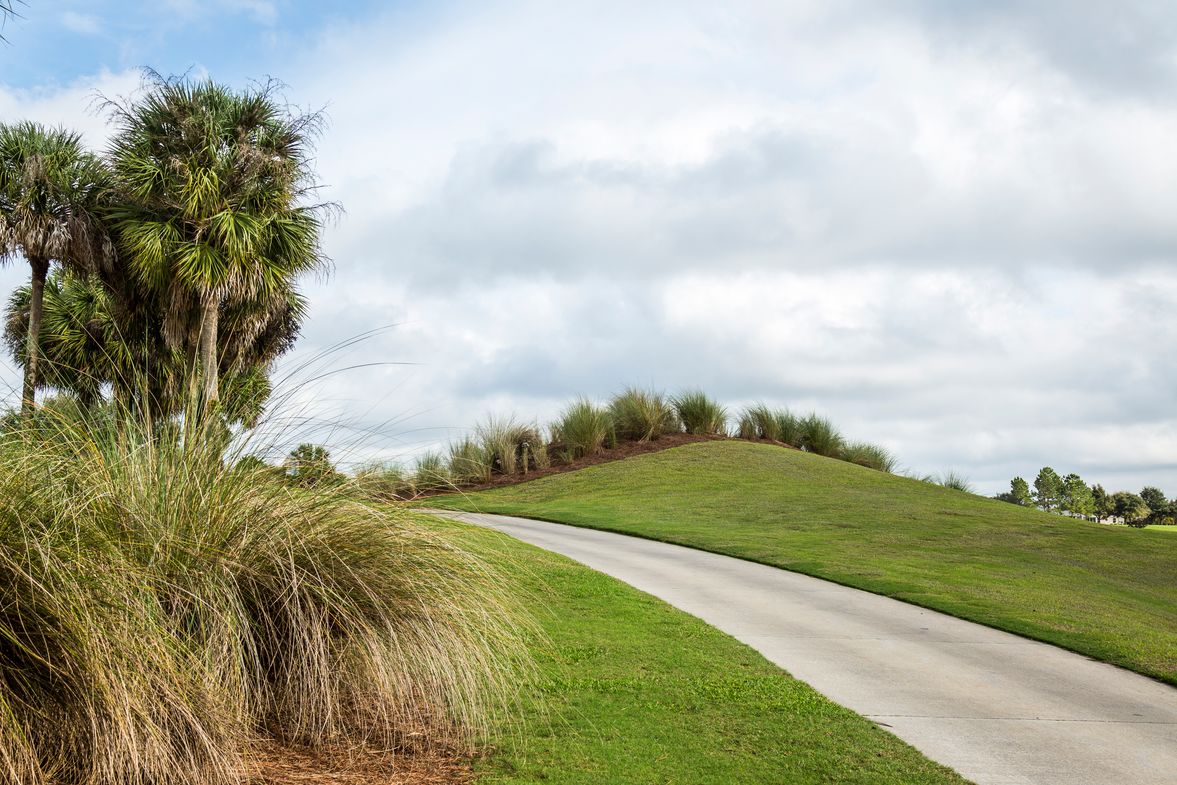 pathway on a golf course