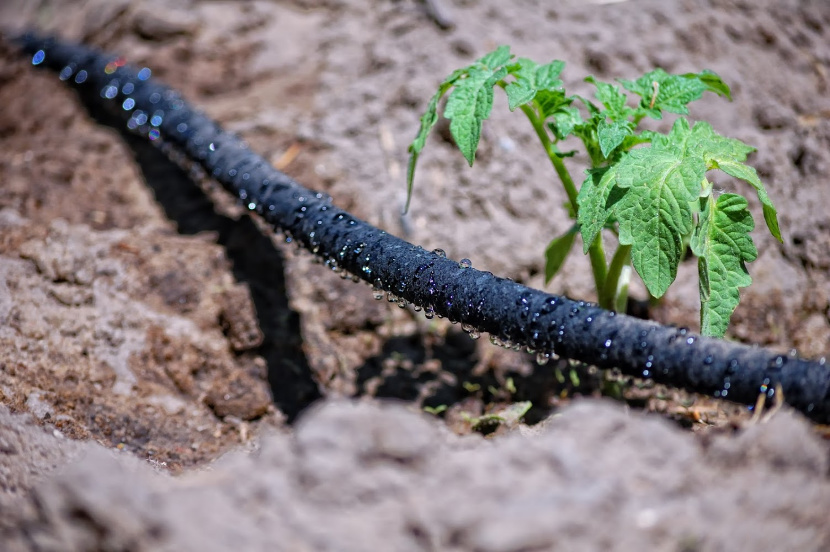 Soaker Hose Irrigation System