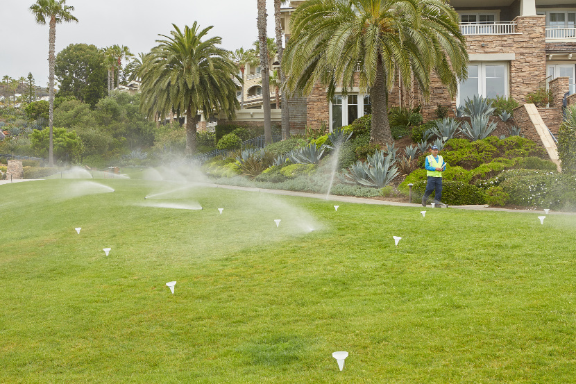 Sprinkler System Irrigation