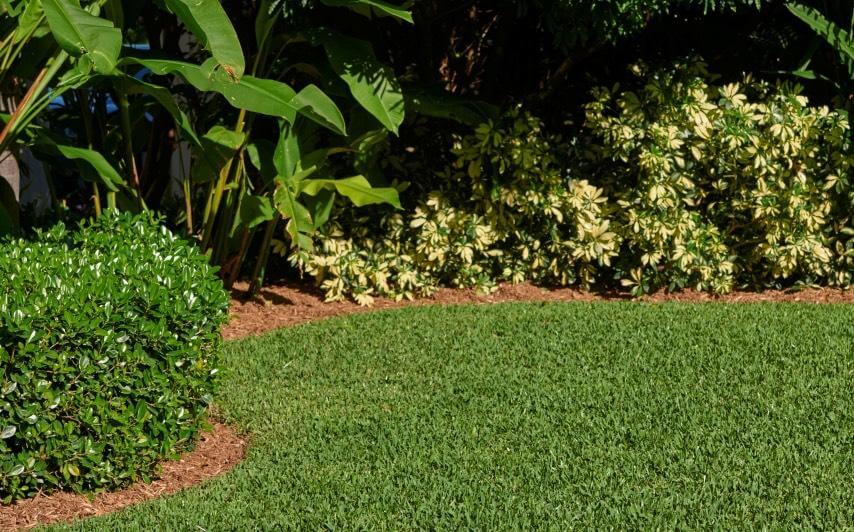 Turf Aeration Tips
