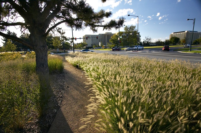 Stapleton Airport Colorado urban reclamation