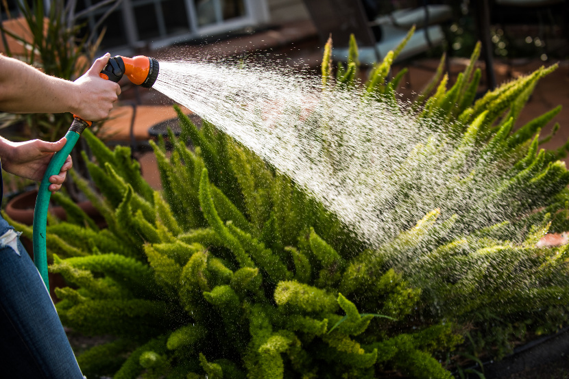 Traditional Surface Irrigation