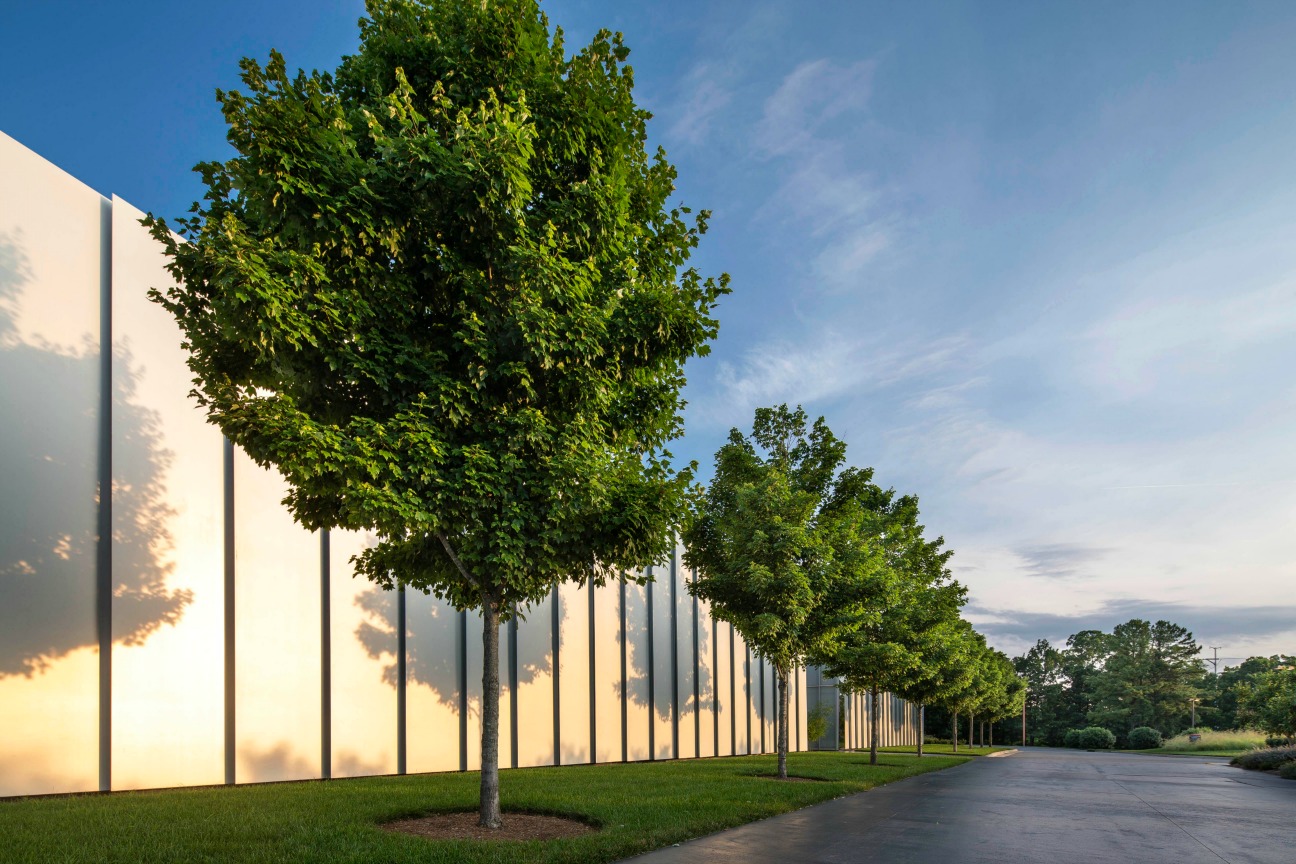 Deciduous Trees are Great Energy Savers