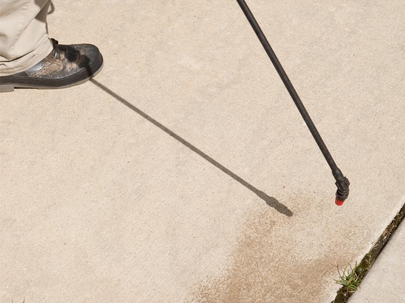 Apply a Pre-Emergent Herbicide