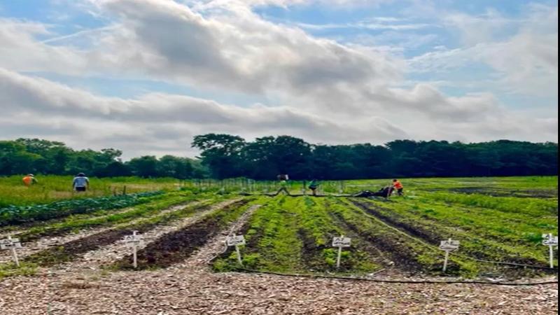 BrightView Landscapes, SiteOne, and Rain Bird donate drip irrigation system