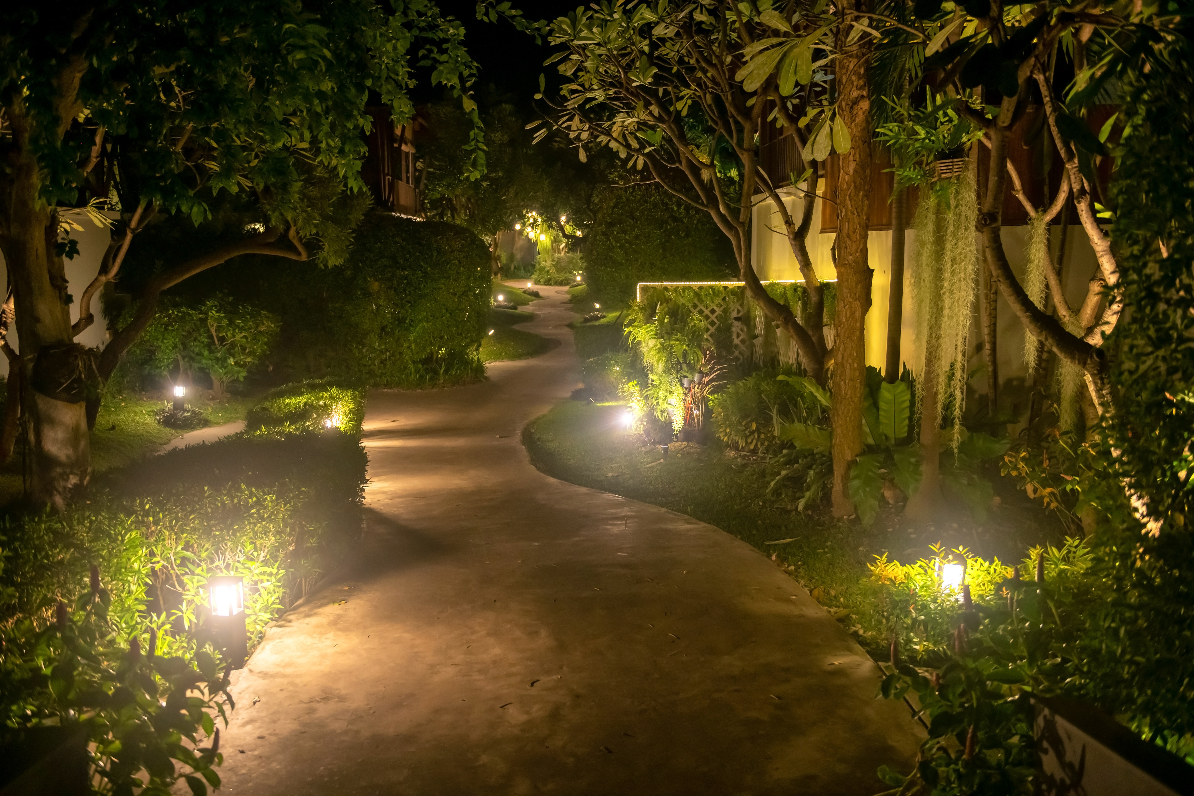 String lights and solar lanterns along a path