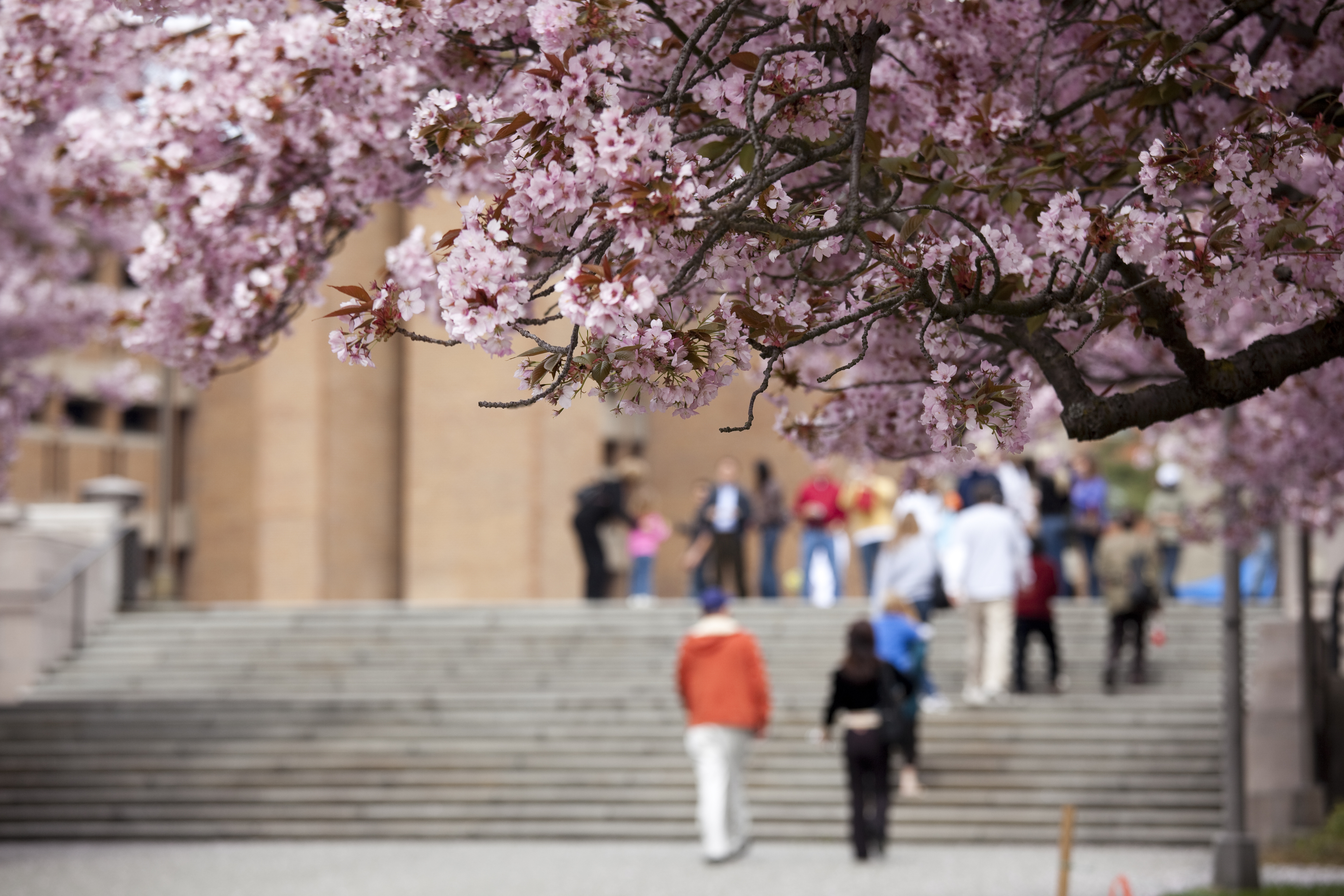 Campus landscape is essential to student life