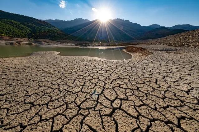 Phoenix, AZ Drought Landscaping Services