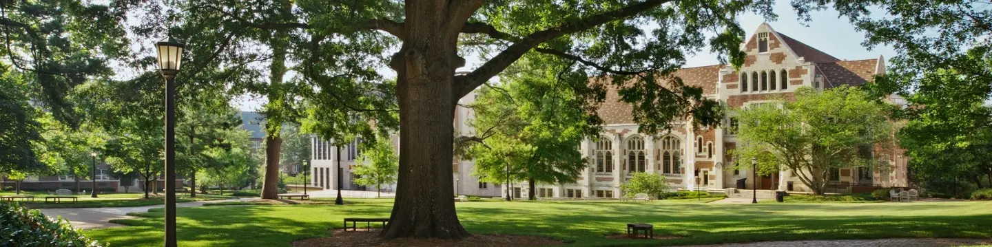 Big Trees Add Value