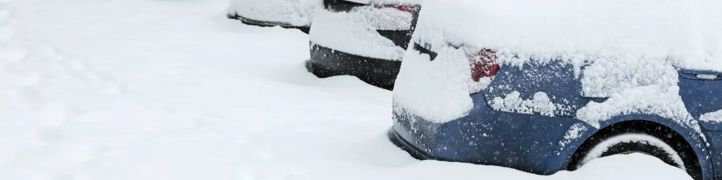 Snow Covered Cars