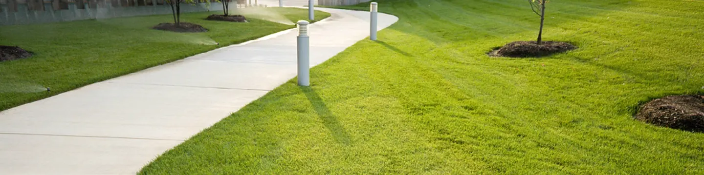 Turf Aeration