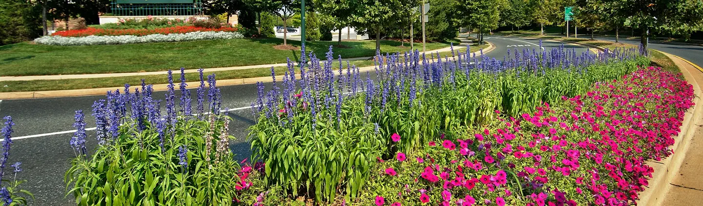 Asbury Curb Appeal