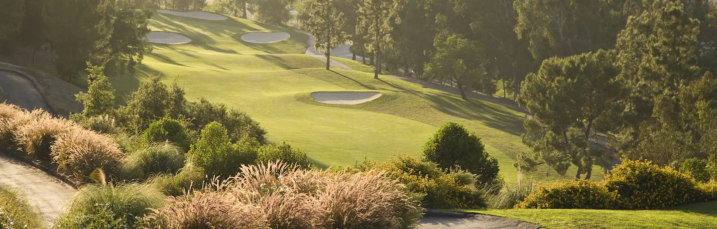 golf course turf