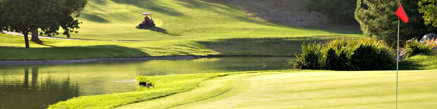 golf course greens
