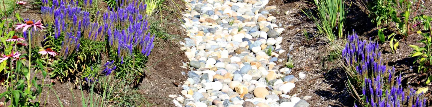 rock garden
