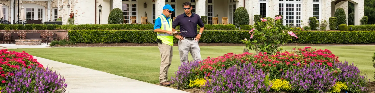 property manager and account manager examining flower bed