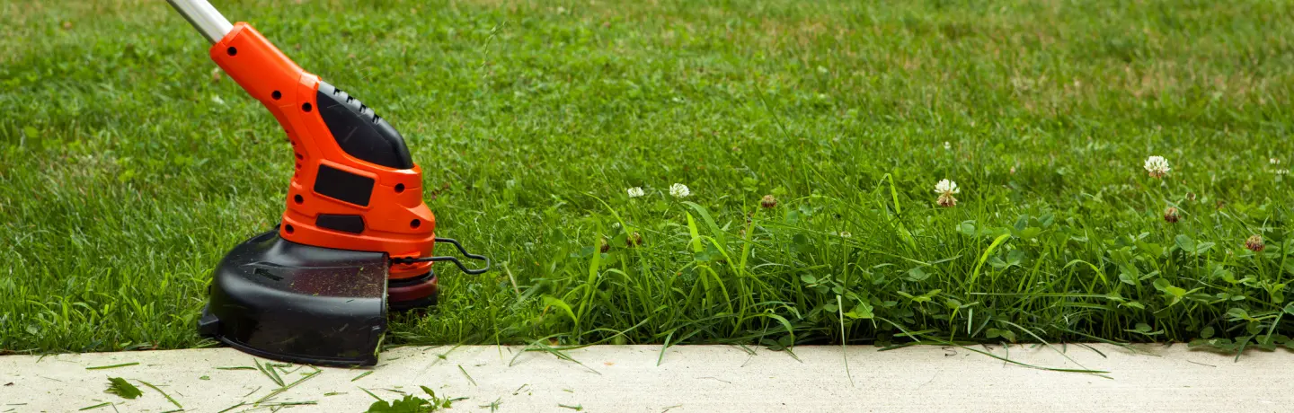 Weed Management