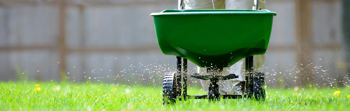 Florida Fertilizer Ban Article Header