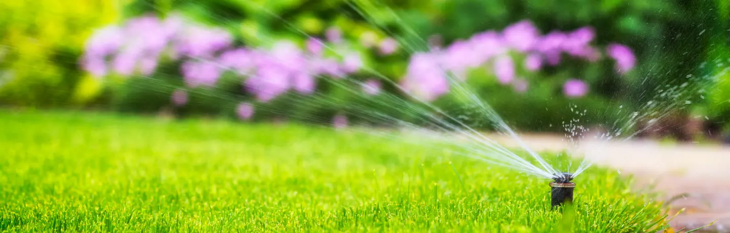 Irrigation